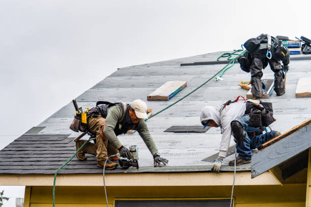 Professional Gutter Installation technician working in Adams, MN